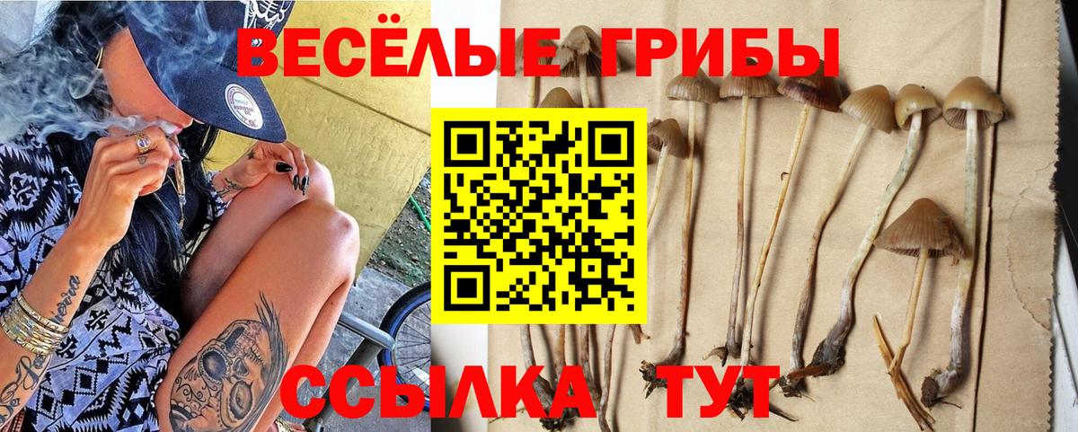 Псилоцибиновые грибы ЛСД  Галлюциногенные грибы Psilocybe  Вход с VPN  Крымск 